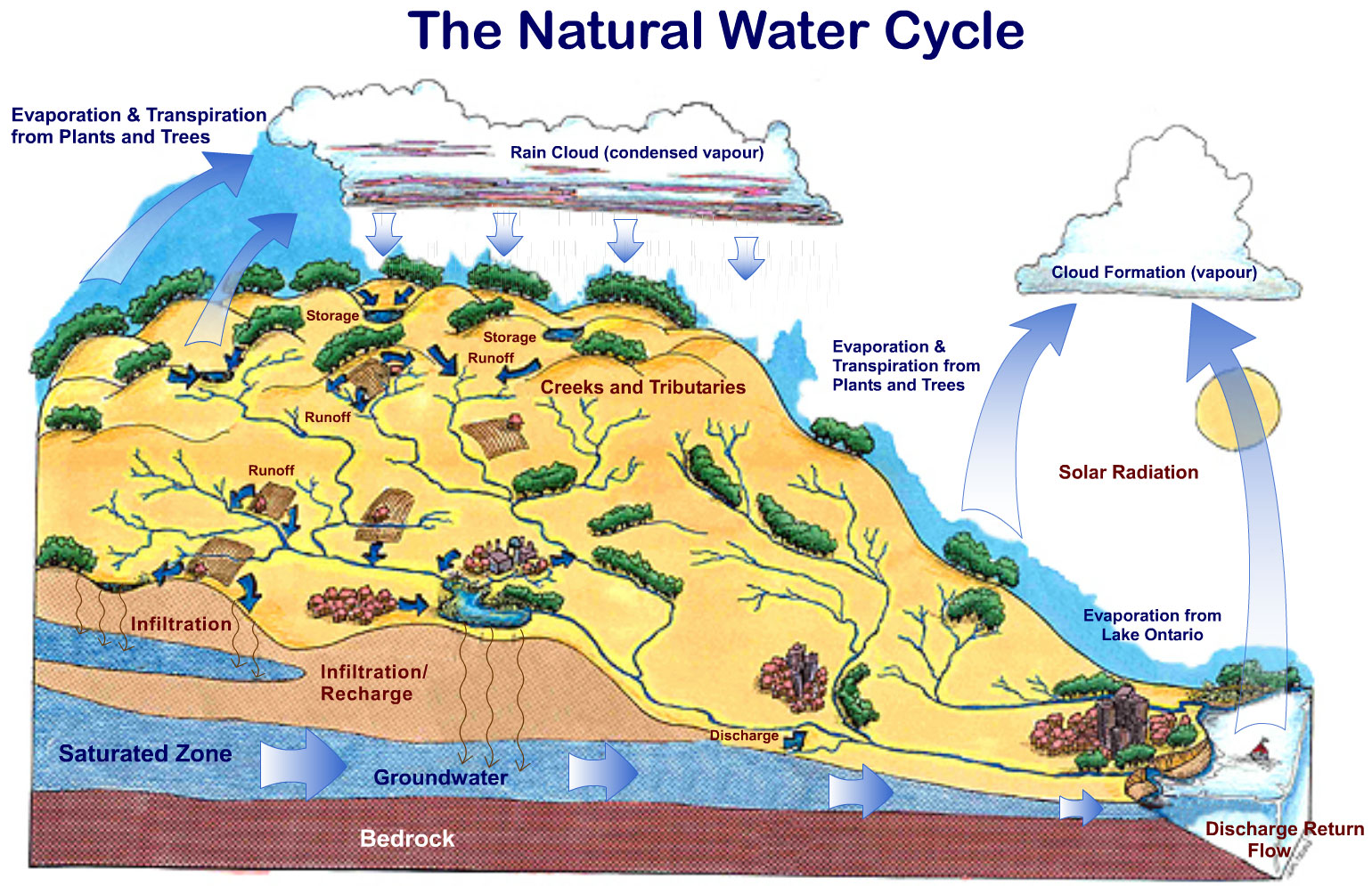 The Natural Water Cycle